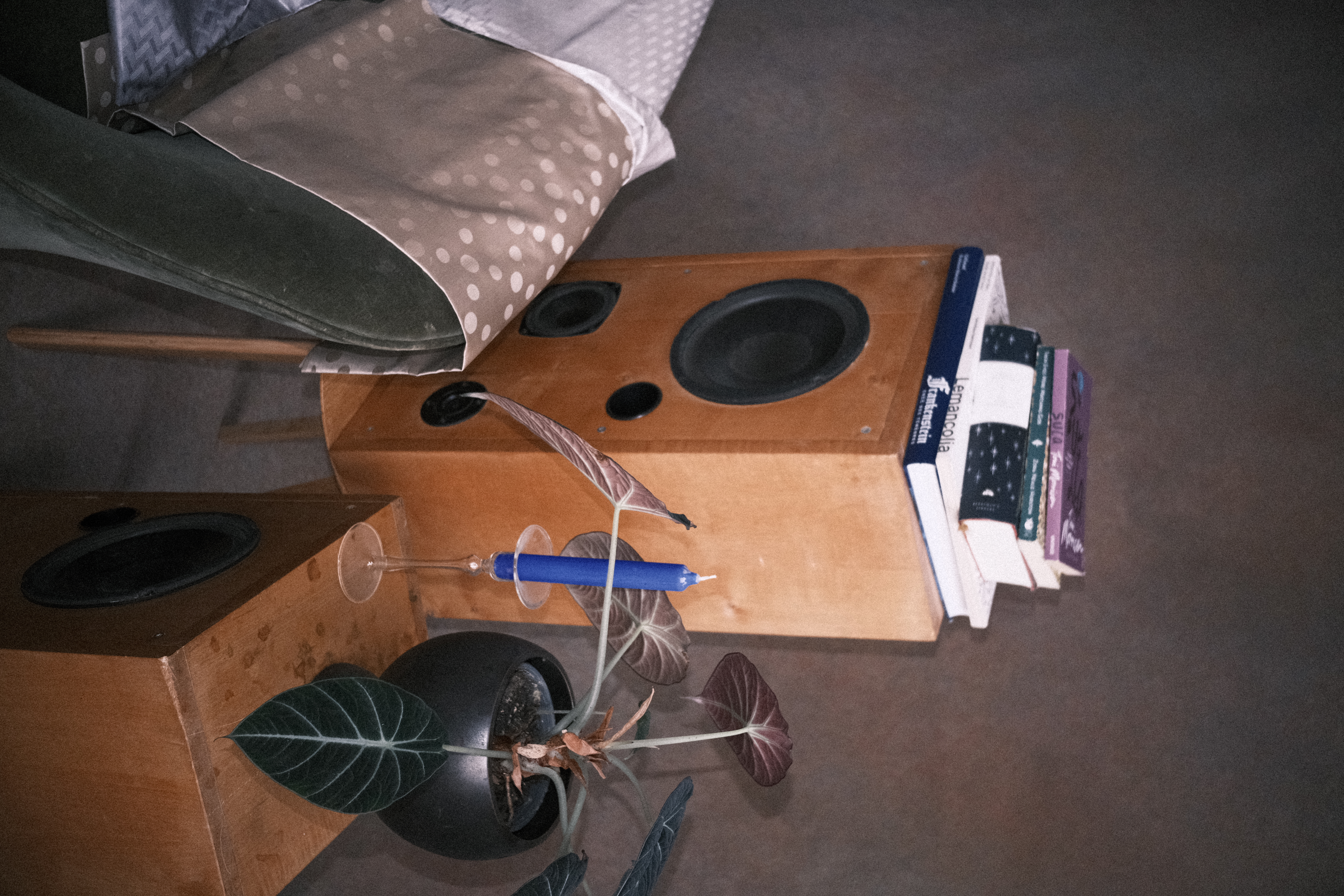 Détail du décor conçu pour la pochette du vinyle